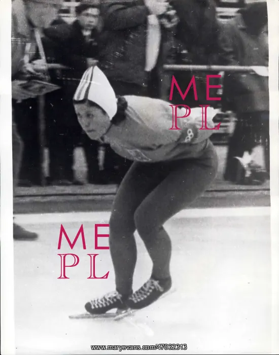 : Bobsledding - Skating - Skiing - Figure Skating : Bobsledding - Skating - Skiing - Figure Skating