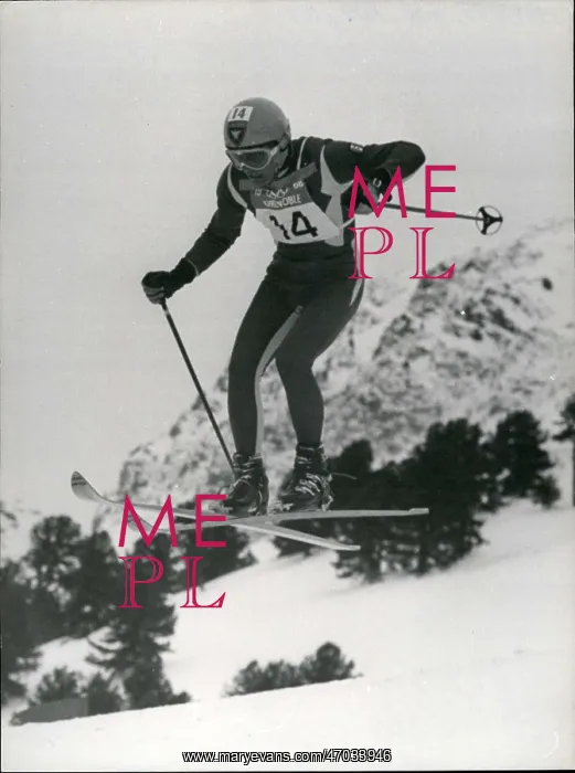 : Bobsledding - Skating - Skiing - Figure Skating : Bobsledding - Skating - Skiing - Figure Skating