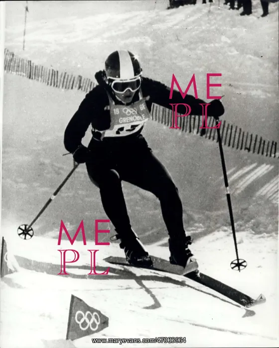 : Bobsledding - Skating - Skiing - Figure Skating : Bobsledding - Skating - Skiing - Figure Skating