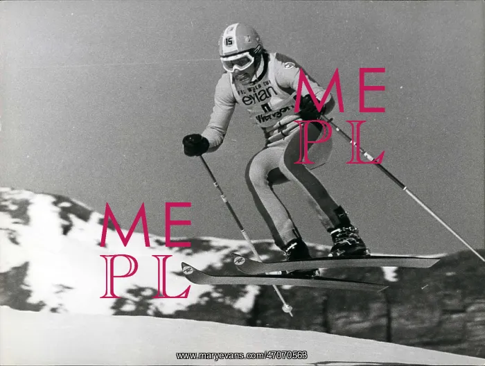 : Bobsledding - Skating - Skiing - Figure Skating : Bobsledding - Skating - Skiing - Figure Skating
