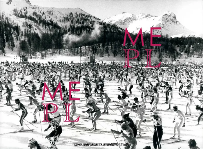 : Bobsledding - Skating - Skiing - Figure Skating : Bobsledding - Skating - Skiing - Figure Skating