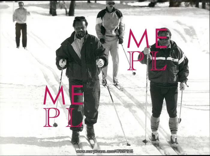 : Bobsledding - Skating - Skiing - Figure Skating : Bobsledding - Skating - Skiing - Figure Skating