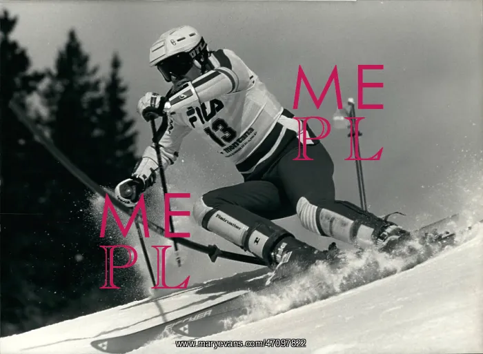 : Bobsledding - Skating - Skiing - Figure Skating : Bobsledding - Skating - Skiing - Figure Skating