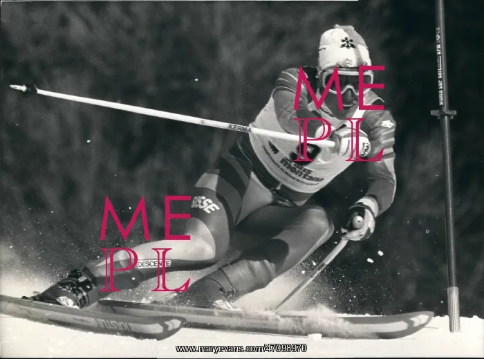 : Bobsledding - Skating - Skiing - Figure Skating : Bobsledding - Skating - Skiing - Figure Skating