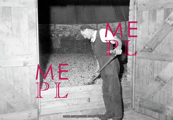  : Bodiam, Hop Drying c1955