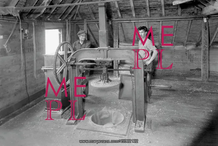  : Bodiam, Hop Pressing c1955