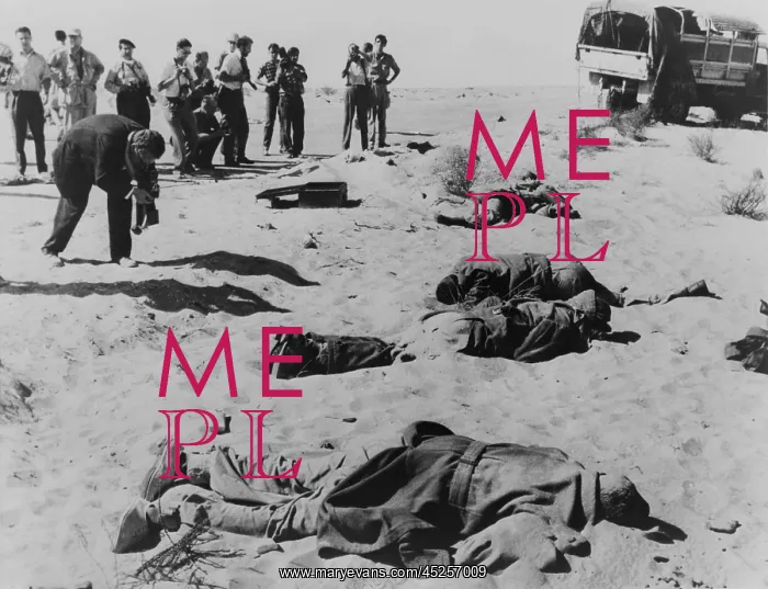 : Bodies of dead Egyptian soldiers lying in the : Bodies of dead Egyptian soldiers lying in the