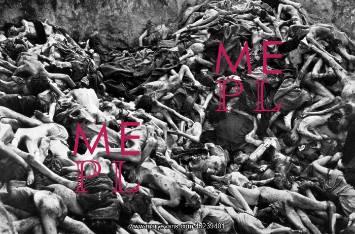: Bodies of deceased concentration camp inmates, ? : Bodies of deceased concentration camp inmates, ?