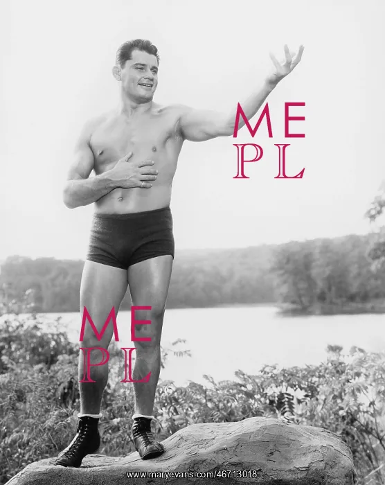 : BODY BUILDER : BODY BUILDER