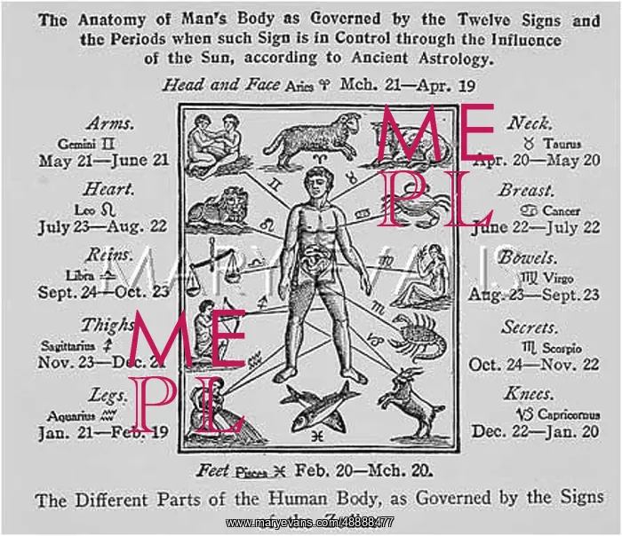 : BODY AND SIGNS : BODY AND SIGNS