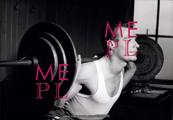 : Bodybuilding - Weightlifting : Bodybuilding - Weightlifting