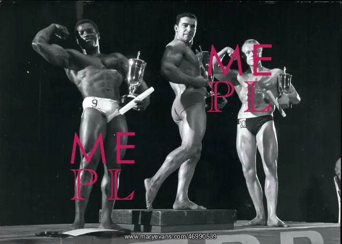 : Bodybuilding - Weightlifting : Bodybuilding - Weightlifting