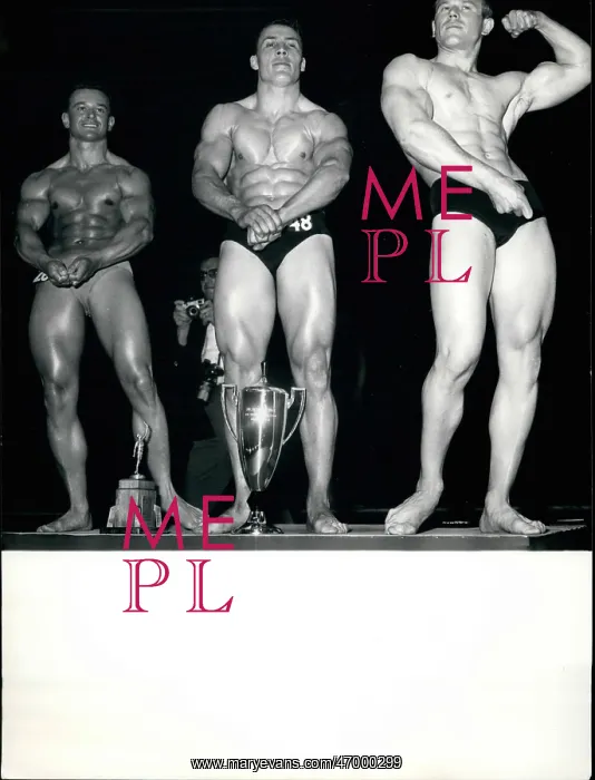 : Bodybuilding - Weightlifting : Bodybuilding - Weightlifting