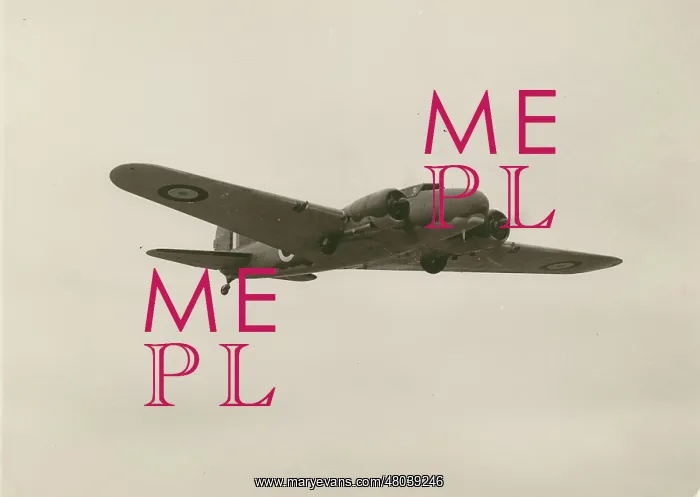 : Boeing 247D DZ203 : Boeing 247D DZ203