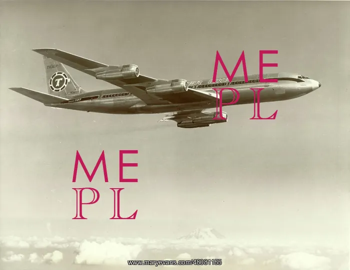 : Boeing 707-349C N322F of Tiger Line : Boeing 707-349C N322F of Tiger Line