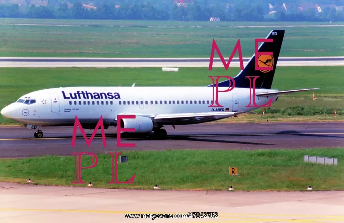 : Boeing 737-330(SF) D-ABED : Boeing 737-330(SF) D-ABED