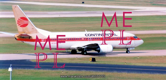  : Boeing 737-3T0 N71314