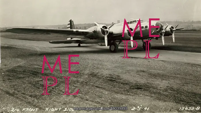 : The Boeing B-17D Flying Fortress : The Boeing B-17D Flying Fortress