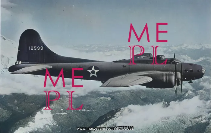  : Boeing B-17E flying