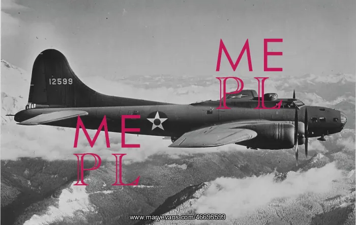  : Boeing B-17E flying