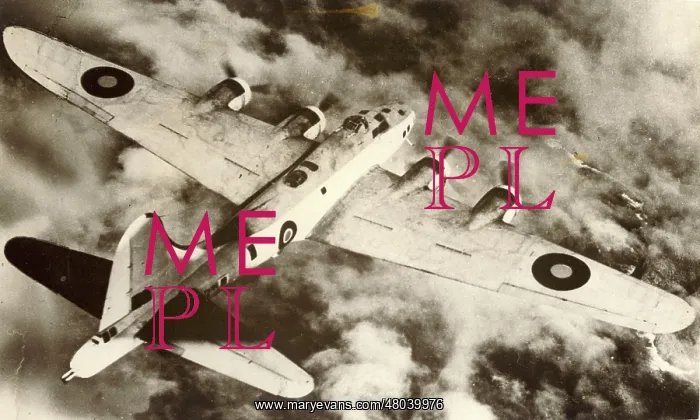 : Boeing B-17E Fortress II of RAF Coastal Command : Boeing B-17E Fortress II of RAF Coastal Command
