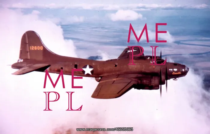  : Boeing B-17E (side view), flying
