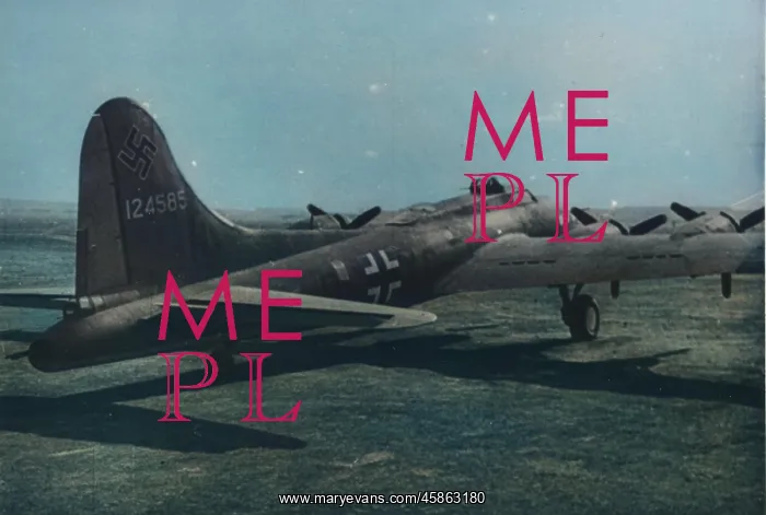  : Boeing B-17F captured, (on the ground)