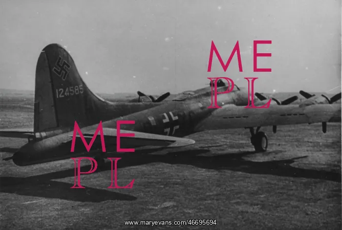  : Boeing B-17F captured, (on the ground)