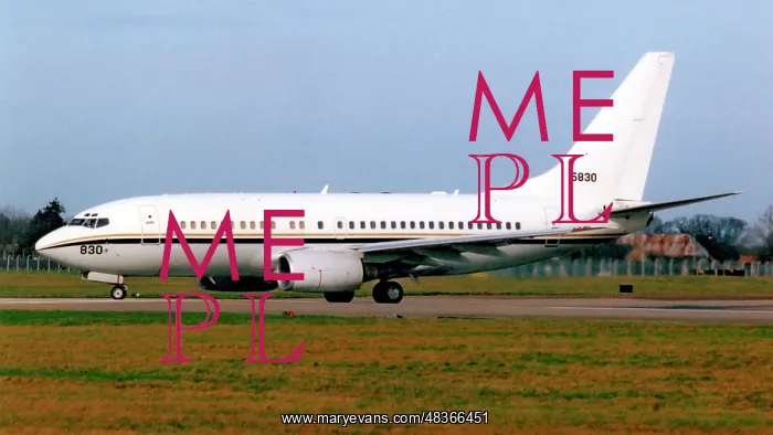 : Boeing C-40A Clipper 165830 : Boeing C-40A Clipper 165830