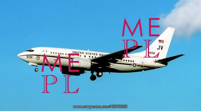: Boeing C-40A Clipper 165832 : Boeing C-40A Clipper 165832