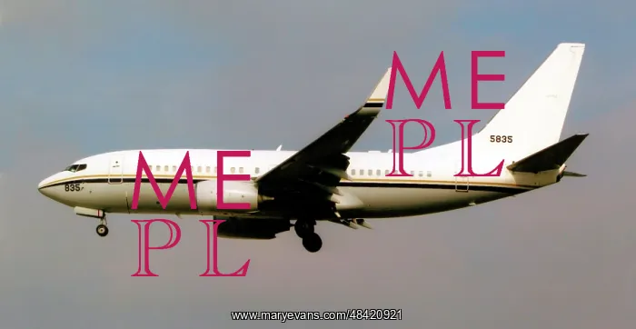 : Boeing C-40A Clipper 165835 : Boeing C-40A Clipper 165835