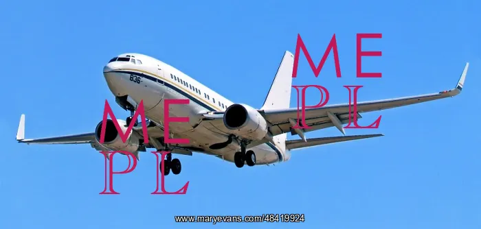 : Boeing C-40A Clipper 165836 : Boeing C-40A Clipper 165836