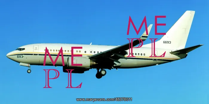 : Boeing C-40A Clipper 166693 : Boeing C-40A Clipper 166693