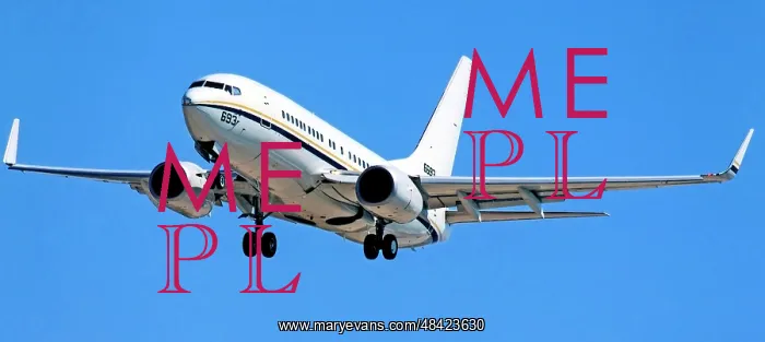 : Boeing C-40A Clipper 166693 : Boeing C-40A Clipper 166693