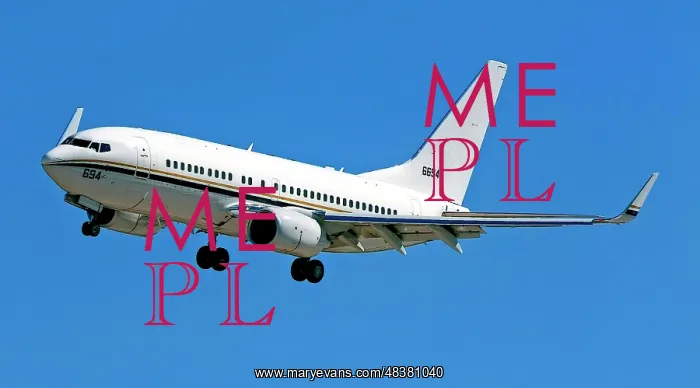 : Boeing C-40A Clipper 166694 : Boeing C-40A Clipper 166694