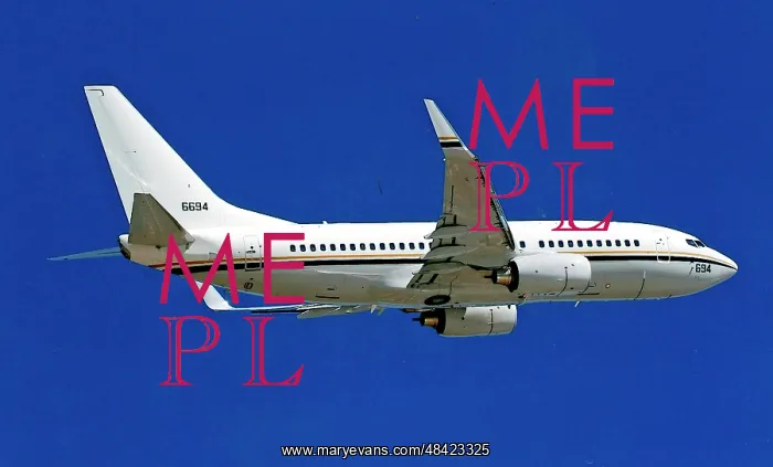 : Boeing C-40A Clipper 166694 : Boeing C-40A Clipper 166694