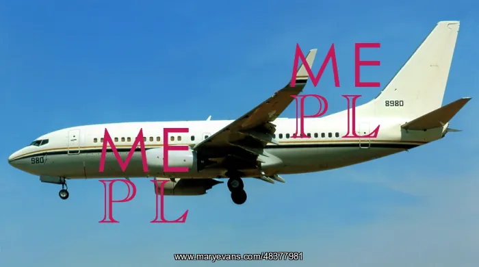 : Boeing C-40A Clipper 168980 : Boeing C-40A Clipper 168980