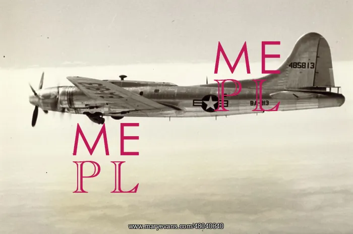 : The Boeing EB-17G 44-85813 : The Boeing EB-17G 44-85813
