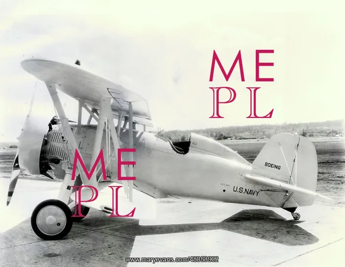 : Boeing Model 235 F4B-4 : Boeing Model 235 F4B-4