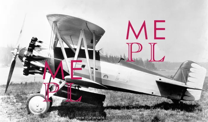 : Boeing Model 83 NX7133 : Boeing Model 83 NX7133