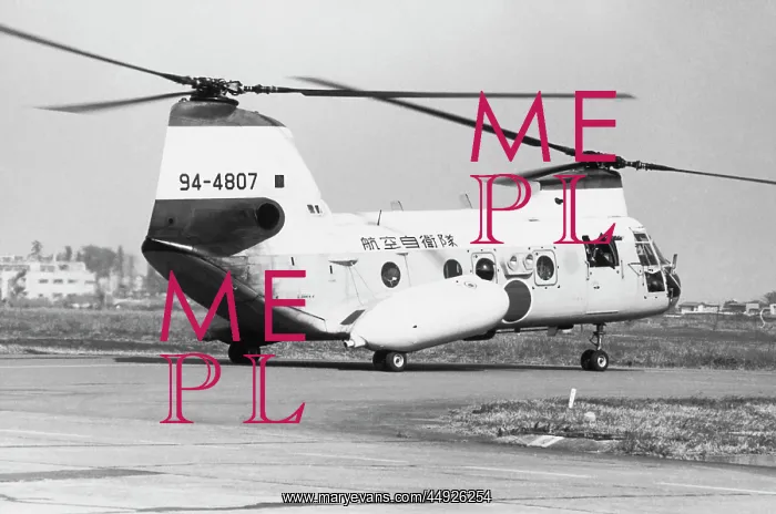 : Boeing Vertol CH-46 Sea Knight : Boeing Vertol CH-46 Sea Knight
