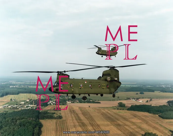 : Boeing Vertol CH-47 Chinook : Boeing Vertol CH-47 Chinook