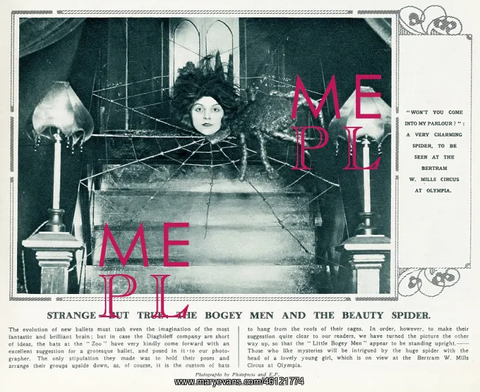 : The Bogey Men and the Beauty Spider : The Bogey Men and the Beauty Spider