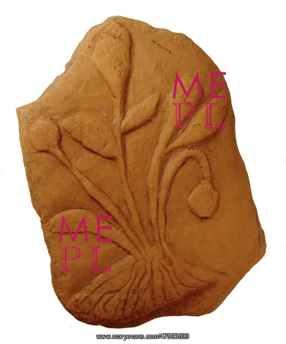 : Bogus fossil plant : Bogus fossil plant