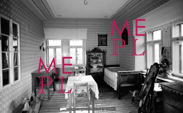 : Bohuslav Martinu - birthplace - composer : Bohuslav Martinu - birthplace - composer