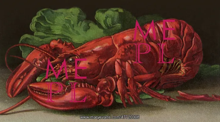  : Whole Boiled Lobster