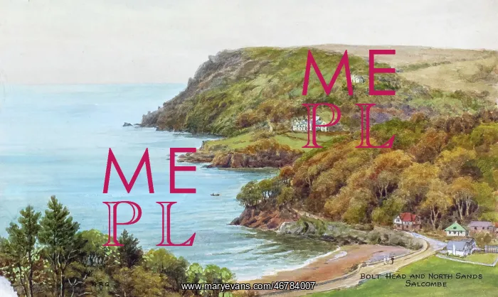 : Bolt Head and North Sands, Salcombe, Devon : Bolt Head and North Sands, Salcombe, Devon