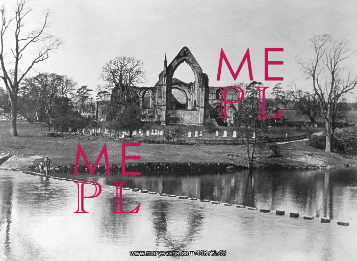 : BOLTON ABBEY : BOLTON ABBEY