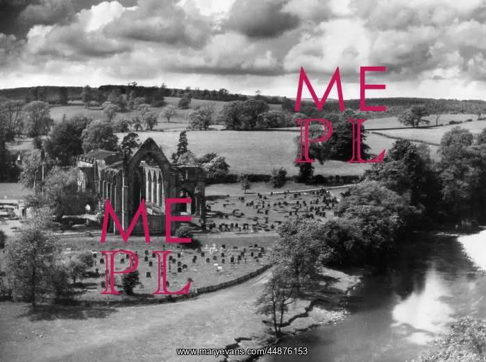 : BOLTON ABBEY : BOLTON ABBEY