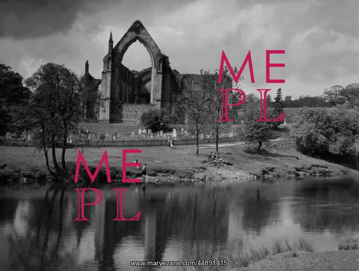 : BOLTON ABBEY : BOLTON ABBEY